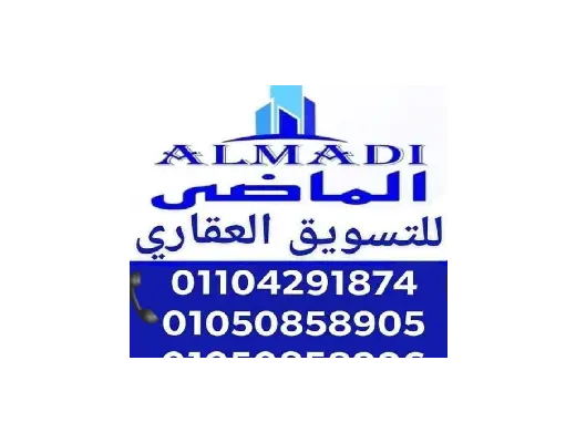 الماضي للعقارات