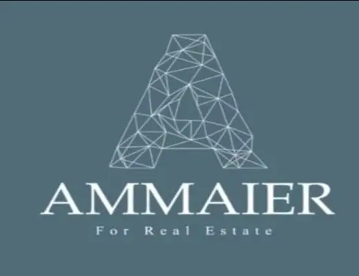 Ammaier for real estate