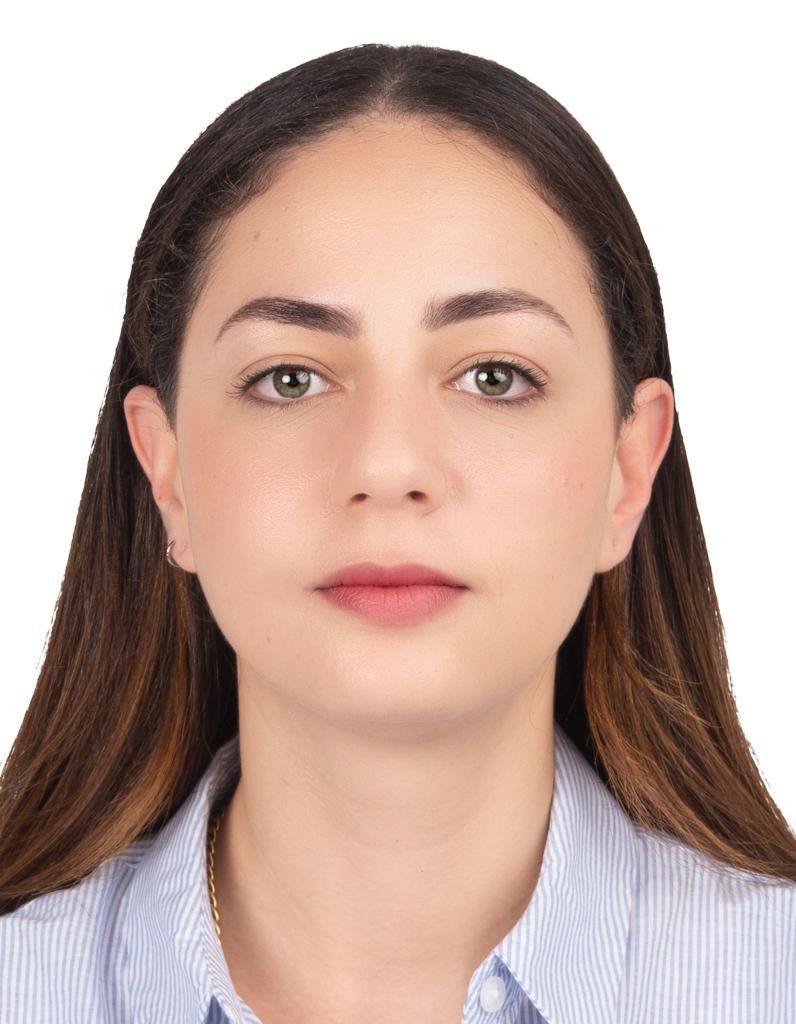 Hams Abdelhalim Ali Nabih Abdelhalim Seyam