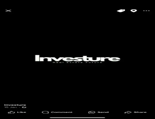 Investor