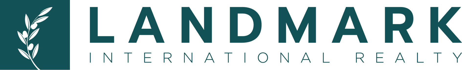 Landmark International Realty L.L.C