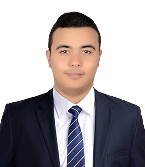 Mohamed Soliman Abdou Ismail