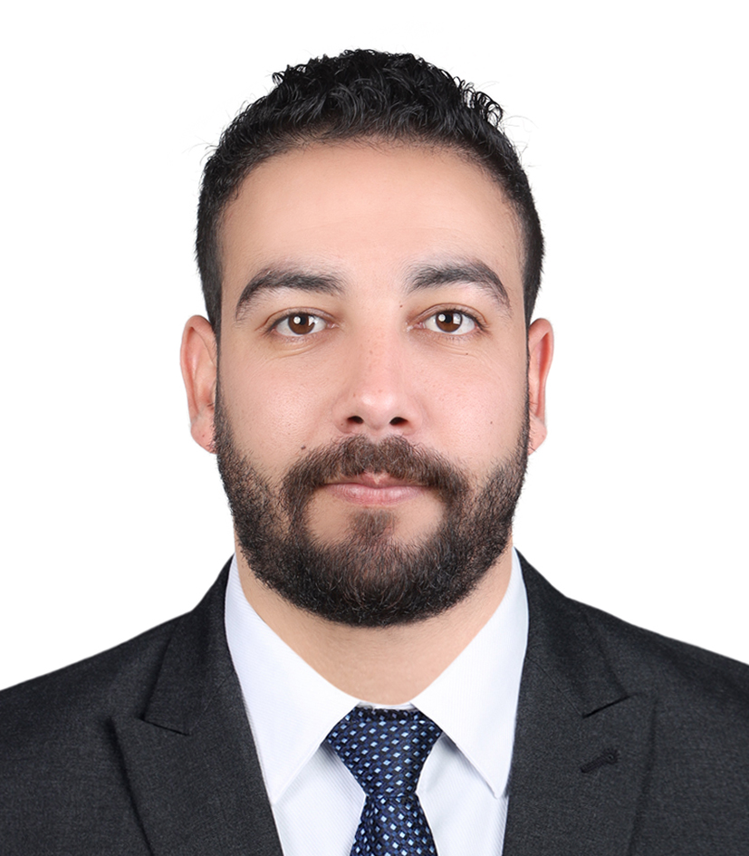 Mohamed Yousef Abdelhamid Elsayed Maaly