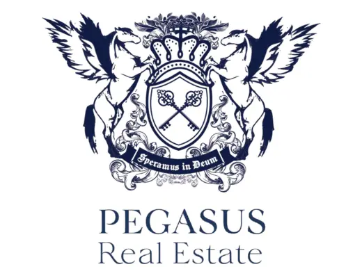 Pegasus Real Estate LLC