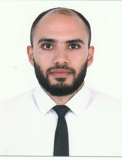 Talaat Hamza Mahmoud Mohamed Elsharkawy